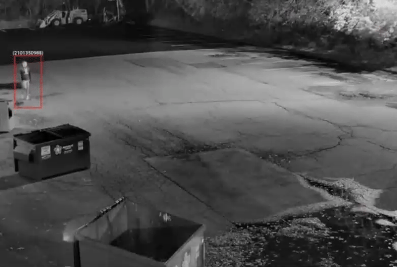 Smart Surveillance System